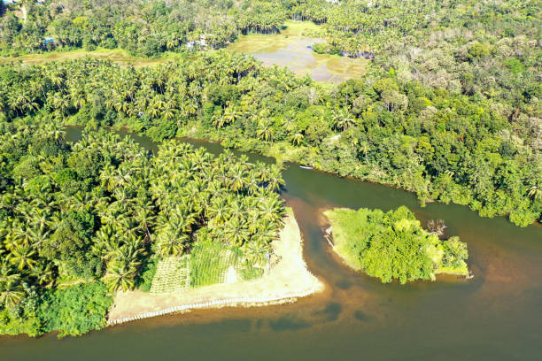 istock View of Backwaters and Mangroves 1484291263