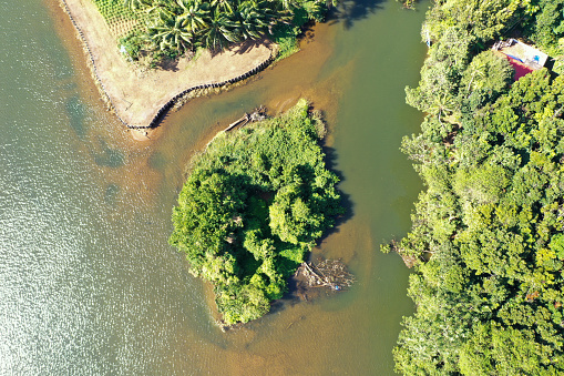 View of river, estuary and Mangroves in Kerala, India
