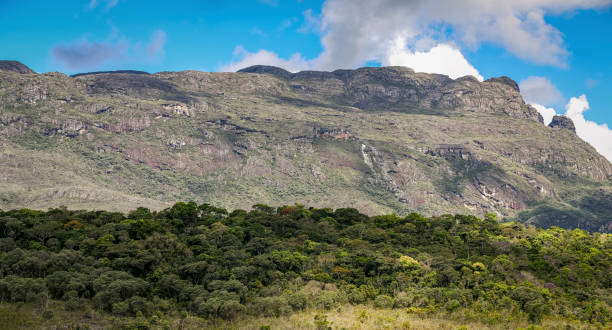 istock Impressive mountain scenery with shadows, blue sky and clouds, Caraca natural park, Minas Gerais, Brazil 1484291568