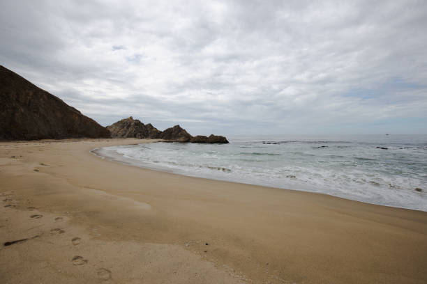 Sandy beach line of McClures Beach, CA