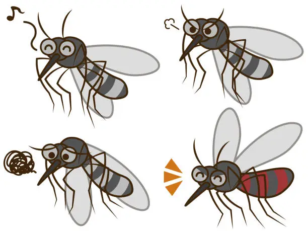 Vector illustration of Mosquito emotion set illustration