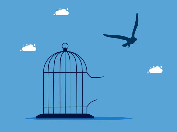 istock Liberation and freedom. The bird flew out of the cage 1484310335
