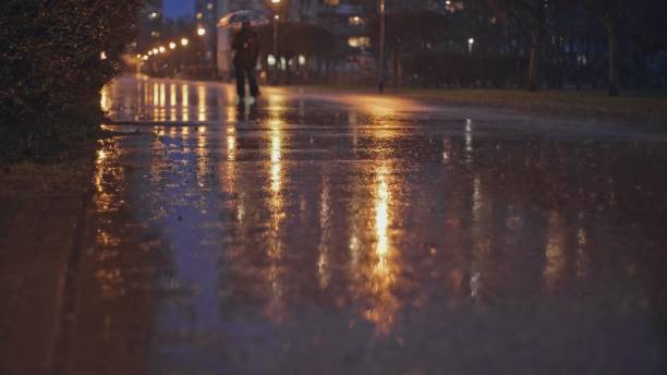 istock Person Walking with Umbrella Through City Park Empty Boulevard on Rainy Evening 1484310620