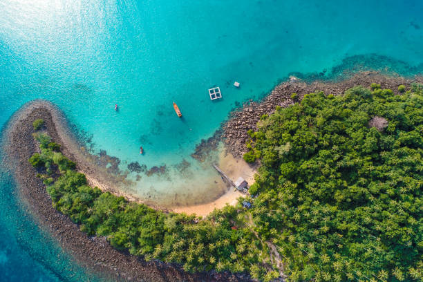 istock Green forest island sea with turquoise water 1484315744