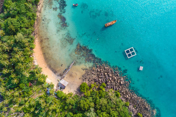 istock Green forest island sea with turquoise water 1484317176