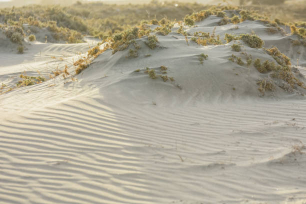 istock waves in the sand at the beach from the red sea 1484317882