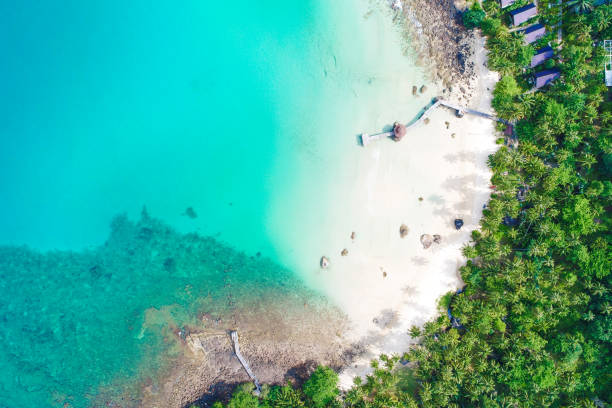 istock Aerial view white sand beach turquoise sea water 1484319434