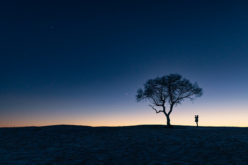 The girl is filming under a lonely tree at sunset