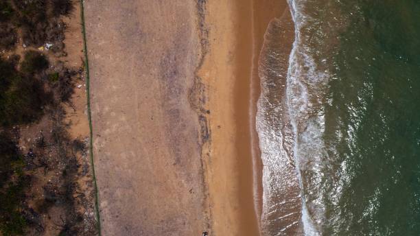 istock arial drone view of sea beach with ocean wave 1484319873