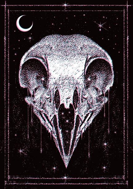 星と月とグリッチテクニックを持つゴシックスタイルの鳥の頭蓋骨 - antique engraved image moonlight night点のイラスト素材／クリップアート素材／マンガ素材／アイコン素材