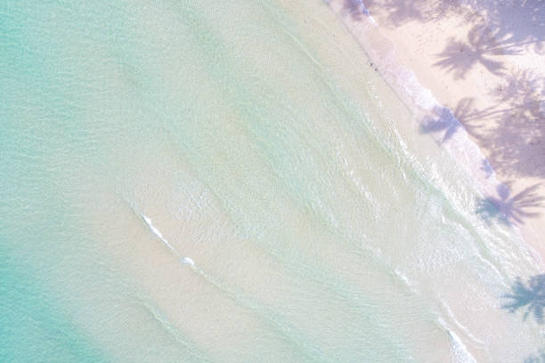istock Aerial view azure sea water white sand beach with coconut shadow 1484321719