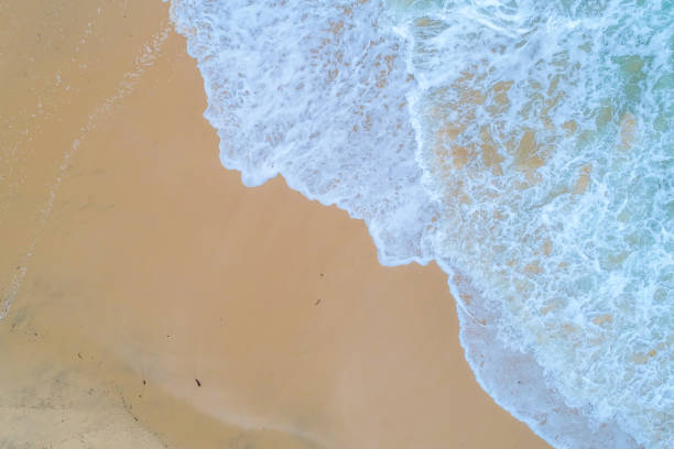 istock Aerial view sea wave beach sanndy copy space 1484321950