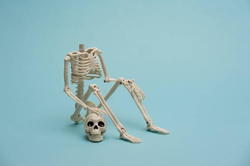A headless toy skeleton sits near his skull on the blue background
