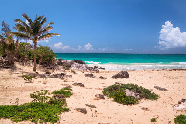 istock Caribbean Sea beach in Tulum, Mexico 1484325540