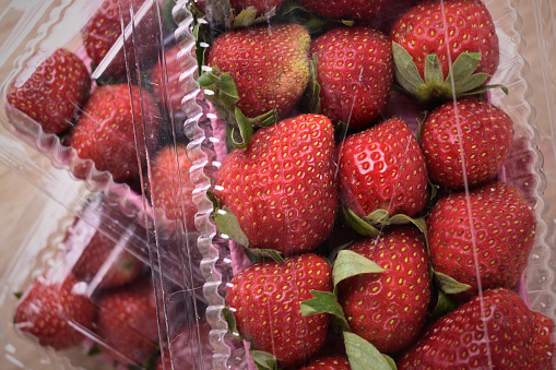 Close Up Fresh Organic Red Strawberries