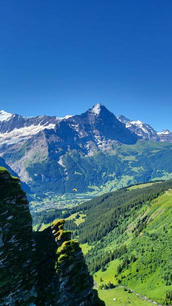 View of the Alps from First mountain View of the Alps from First mountain in Grindelwald, Switzerland Grindlewald stock pictures, royalty-free photos & images