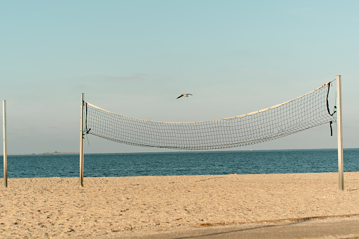 Volleyball net with seagull on the beach against a blue sky