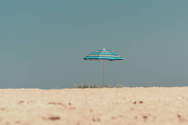 istock lonely umbrella on the beach 1484335924