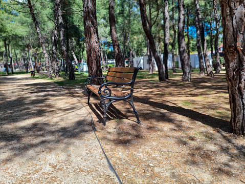 Empty Bench in park