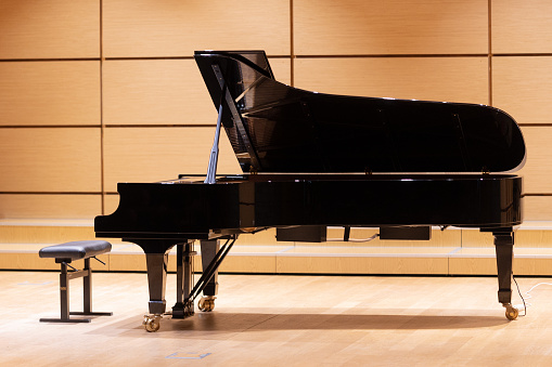 Interior of the Concert Hall at the Music School. Poland