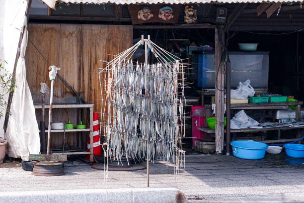 Sunny day in spring Sun-drying halfbeaks at Tomonoura fishing port (Tomocho, Fukuyama City, Hiroshima Prefecture) On a sunny day in March 2023, halfbeaks are dried in the sun at Tomonoura fishing port in Tomonoura, Tomonomachi, Fukuyama City, Hiroshima Prefecture, which has long been known as a port town. 乾物 stock pictures, royalty-free photos & images