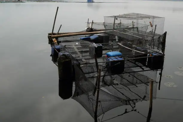 Floating fishpen or fish cage in Sampaloc Lake in San Pablo City, Laguna, Philippines.
