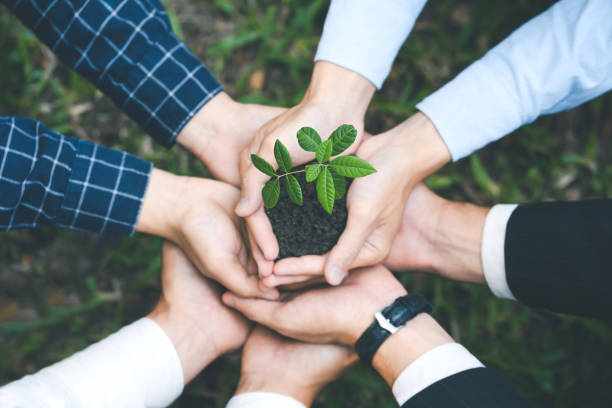istock Environmental cooperation. Unity of businesspeople and community together protecting small sprout with hands. Future environmental conservation and sustainable ESG modernization development. 1484364597