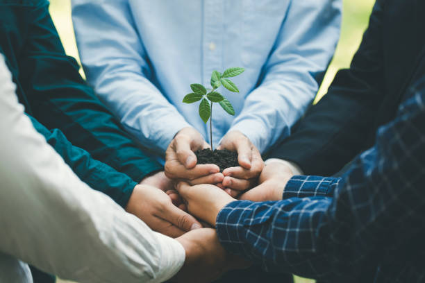 istock Environmental cooperation. Unity of businesspeople and community together protecting small sprout with hands. Future environmental conservation and sustainable ESG modernization development. 1484364622