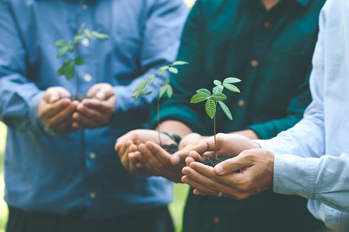 Environmental cooperation. Unity of businesspeople and community together plant trees for sustainable development goals. Future environmental conservation and sustainable ESG modernization development