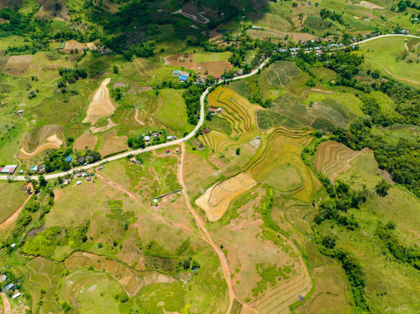 istock Farmland in the Philippines. 1484372871