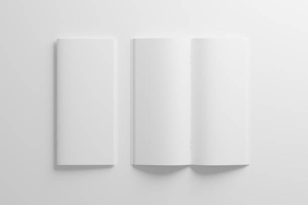 istock DL Saddle Stitch Bifold Brochure White Blank 3D Rendering Mockup 1484410603
