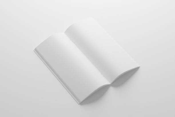 istock DL Saddle Stitch Bifold Brochure White Blank 3D Rendering Mockup 1484410619