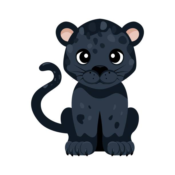 ilustrações de stock, clip art, desenhos animados e ícones de panther. cartoon, flat vector drawing of a wild animal. - cria
