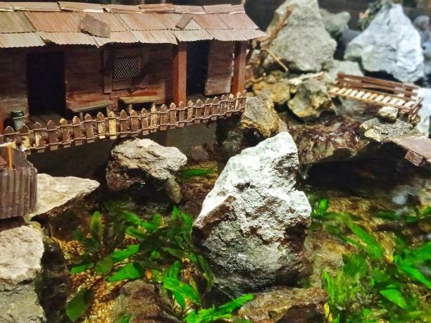 istock Top aquarium decoration 1484410696