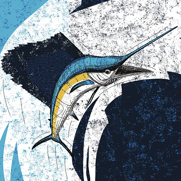 jumping sailfish An Atlantic Sailfish over an abstract background. The sailfish and background are on separately labeled layers. big game fishing stock illustrations