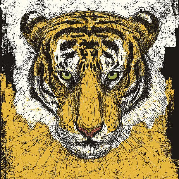 Vector illustration of tiger head