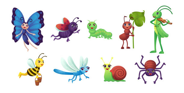 아이들을위한 만화 곤충의 큰 세트입니다. 아이들을 위한 손과 눈을 가진 인간화된 곤충. 곤충을 연구하여 게임을하는 재미.  흰색 바탕에 곤충입니다. - ant comedian stock illustrations