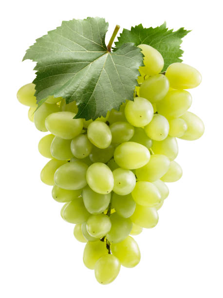 istock green grapes with green leaves isolated on a white background with clipping path 1484422320