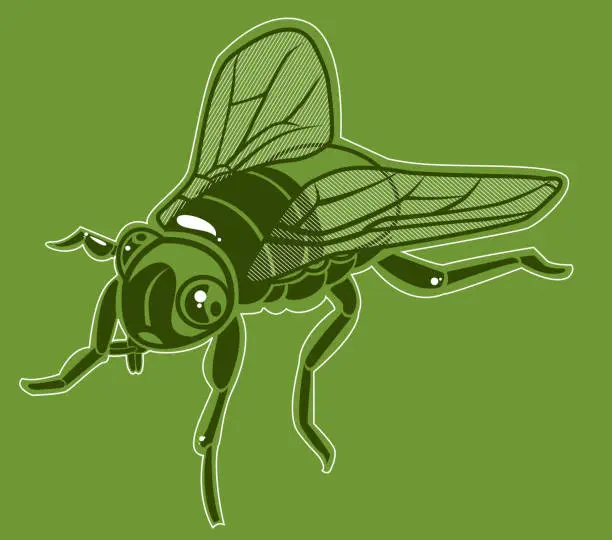 Vector illustration of House Fly