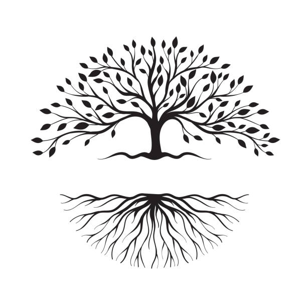 ilustraciones, imágenes clip art, dibujos animados e iconos de stock de silueta abstracta del logotipo del árbol y la raíz - raíz
