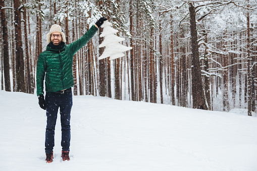 Horizontal shot of good looking bearded male looks with happy expression, demonstrates artificial fir tree which he bought, walks on snowy weather in beautiful forest. Happiness concept