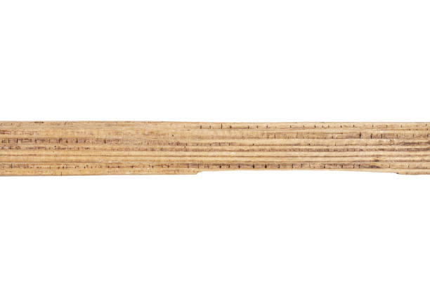 istock Part of driftwood isolated on white 1484447406