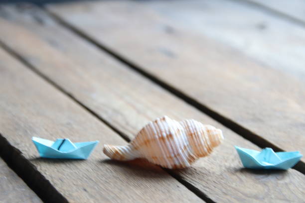 istock Summer background. Seashell on a wooden background. 1484447638