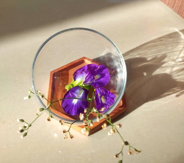 istock Butterfly pea flower in a glass 1484448536
