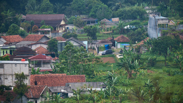 istock Modern Rural Homes with Sleek Architecture and Serene Surroundings 1484453409