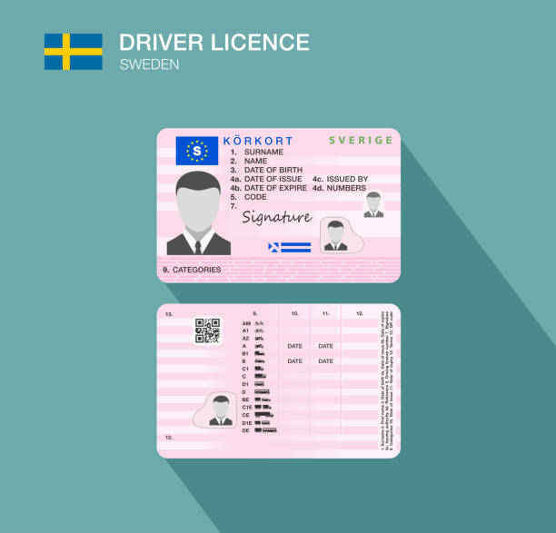 bildbanksillustrationer, clip art samt tecknat material och ikoner med swedish car driver license identification. vector illustration. sweden. - göteborg