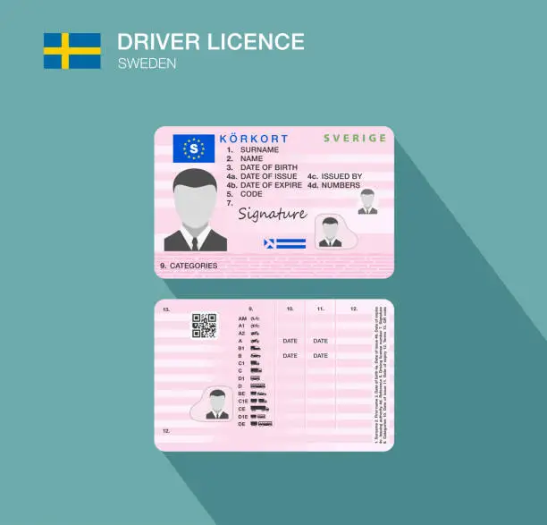 Vector illustration of Swedish car driver license identification. Vector illustration. Sweden.