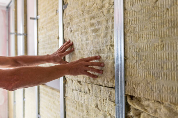 istock Worker insulating a room wall with mineral rock wool thermal insulation. 1484460618