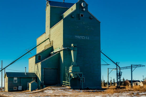 istock Green grain elevator in summer. Trochu, Alberta, Canada 1484462912