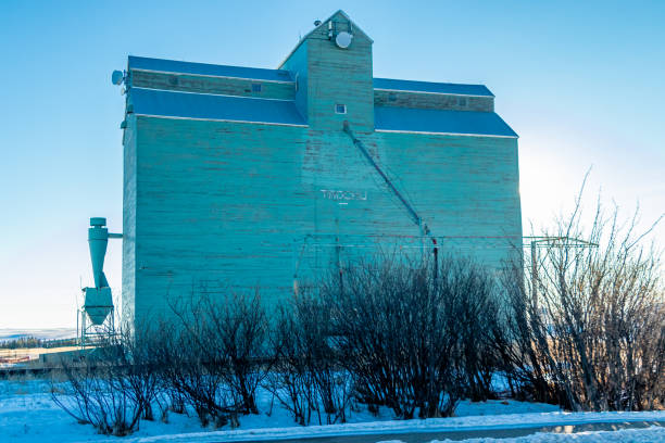 istock Green grain elevator in summer. Trochu, Alberta, Canada 1484462913